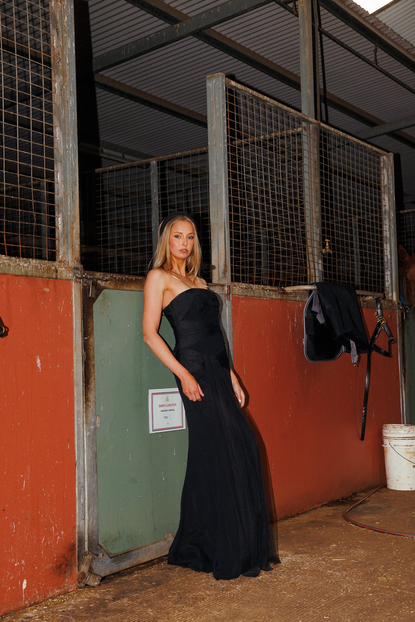 VINTAGE PALOMA DRESS